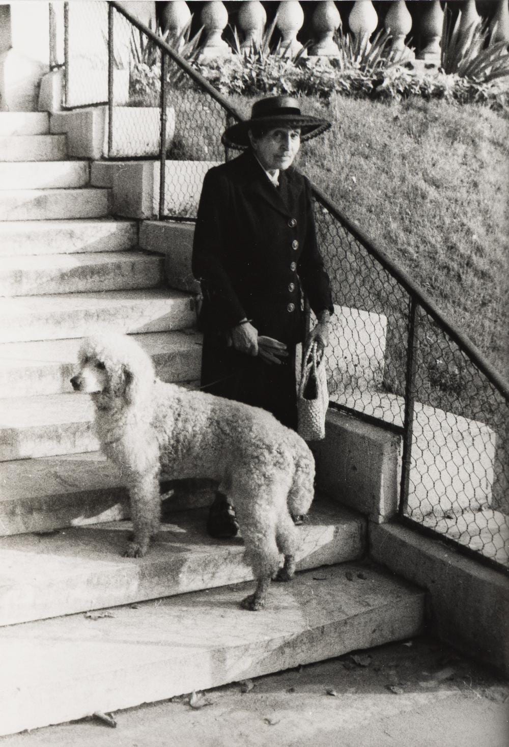 Carl Van Vechten comparable auction result: carl van vechten portrait of alice b toklas with her dog in paris october 7 1949