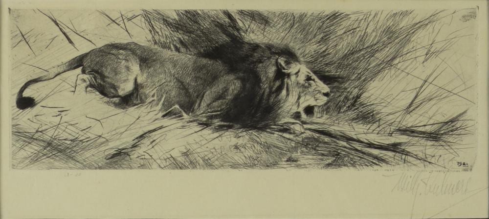 Wilhelm Kuhnert comparable auction result: wilhelm kuhnert 1865 1926 prowling lion 1923