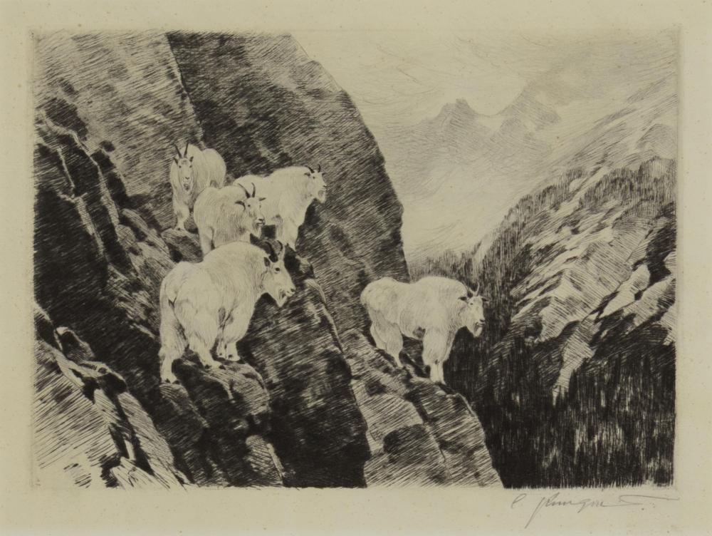 Carl Rungius comparable auction result: carl rungius 1869 1959 goats