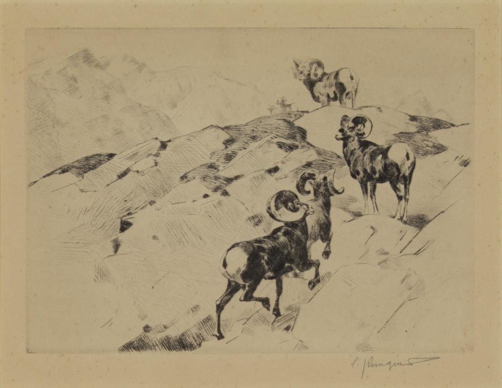 Carl Rungius comparable auction result: carl rungius 1869 1959 alarmed