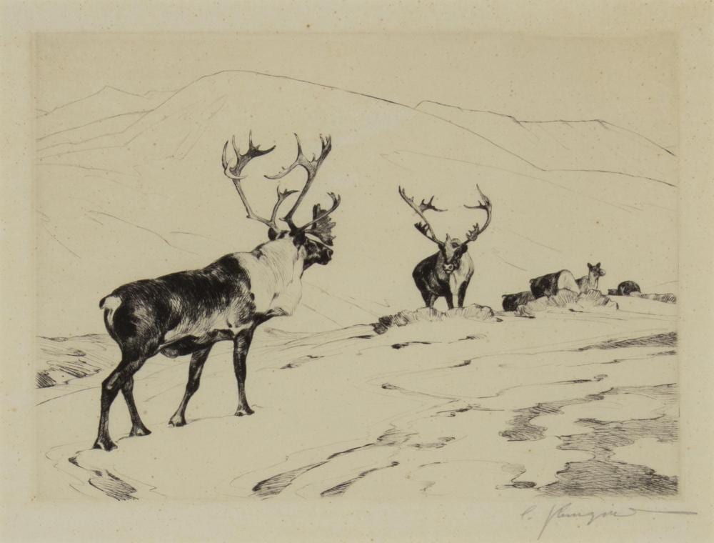 Carl Rungius comparable auction result: carl rungius 1869 1959 the stranger
