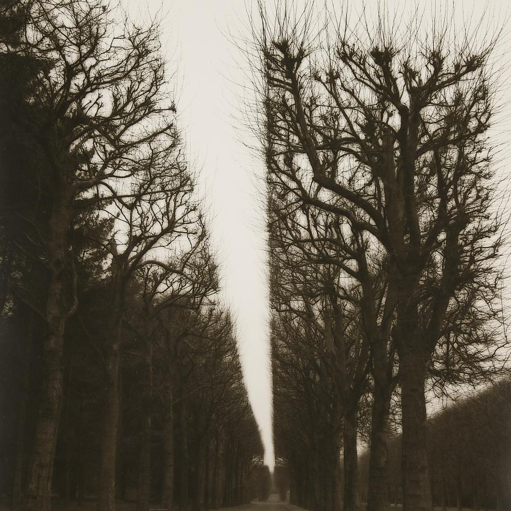 Lynn Geesaman comparable auction result: lynn geesaman parc de sceaux france gsp 1992