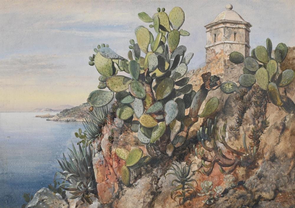 edward william cooke british 1811 1880 opuntia prickly pear cactus on the walls · Dreweatts 1759 Fine Sales · 2026-02-10 Edward William Cooke comparable auction result: edward william cooke british 1811 1880 opuntia prickly pear cactus on the walls
