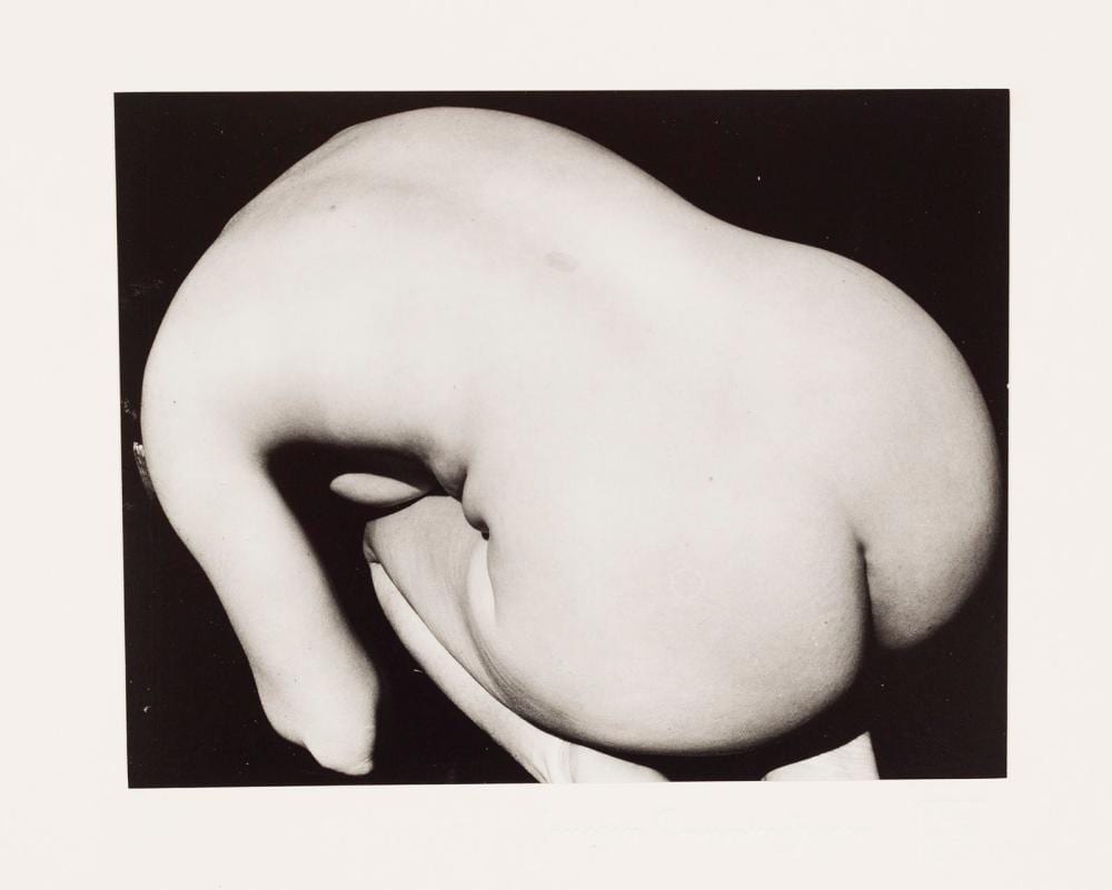 Imogen Cunningham comparable auction result: imogen cunningham 1883 1976