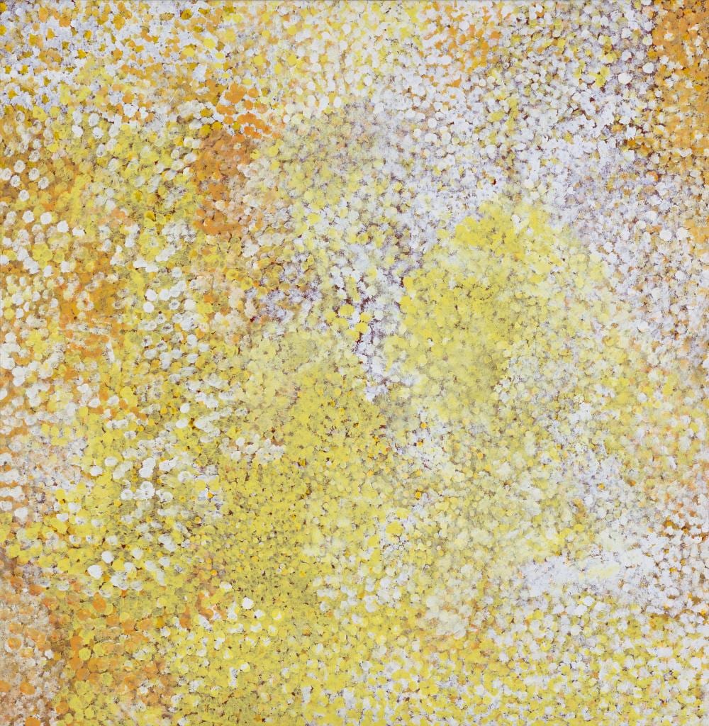 Polly Ngale comparable auction result: polly ngale 1936 2022 bush plum seed circa 2010