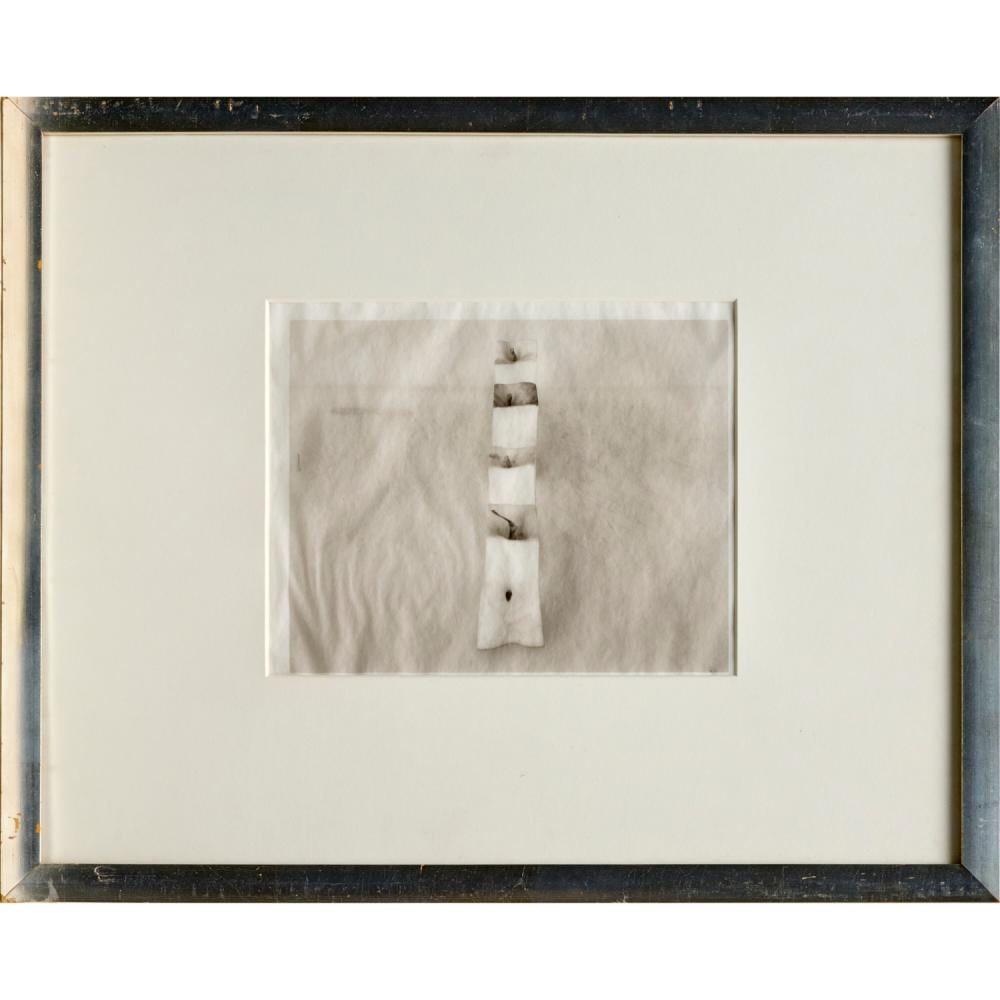 Jed Devine comparable auction result: jed devine platinum palladium print