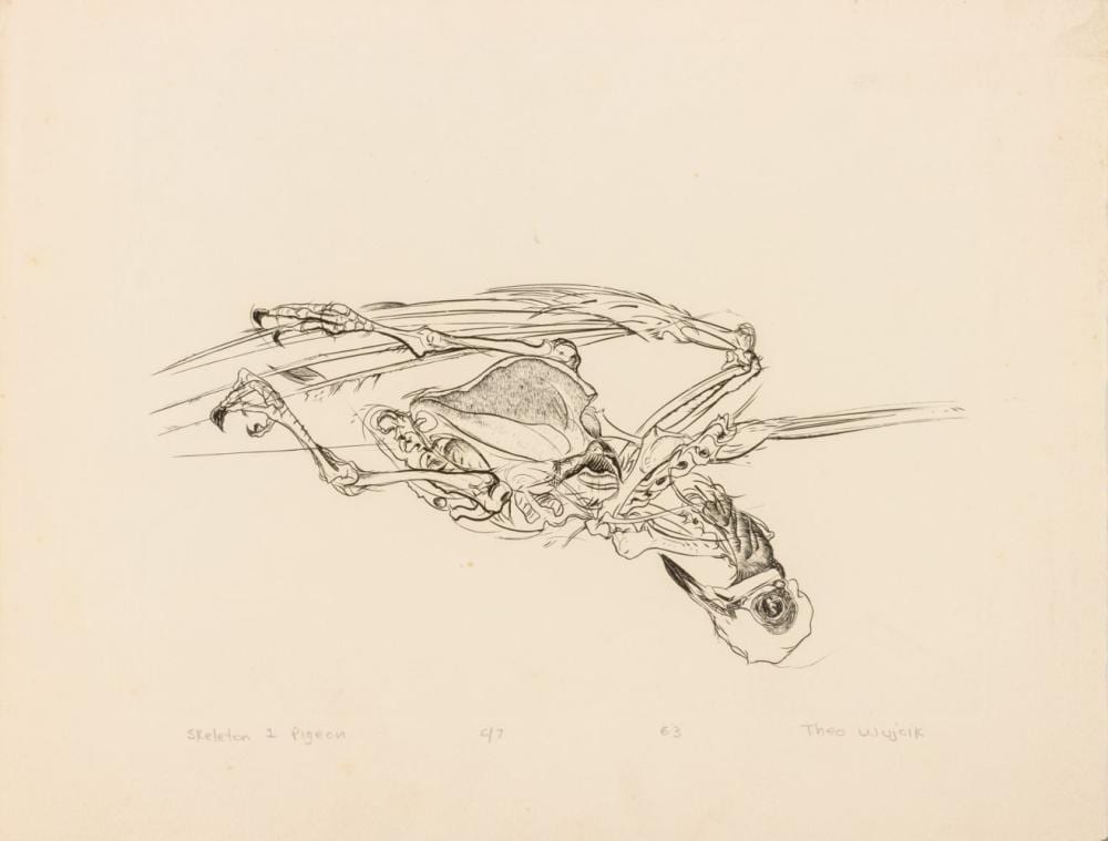 Theo Wujcik comparable auction result: theo wujcik skeleton 1 pigeon etching