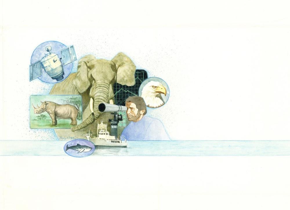 Rudy Nappi comparable auction result: rudy nappi ny 1923 2015 watercolor painting