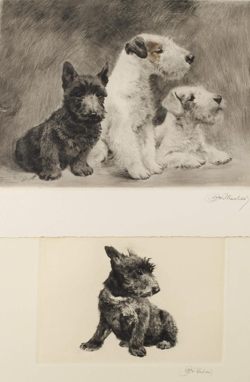 curt meyer eberhardt paar hundedarstellungen · Auktionshaus Mehlis GmbH · 2026-02-28 Curt Meyer-Eberhardt comparable auction result: curt meyer eberhardt paar hundedarstellungen