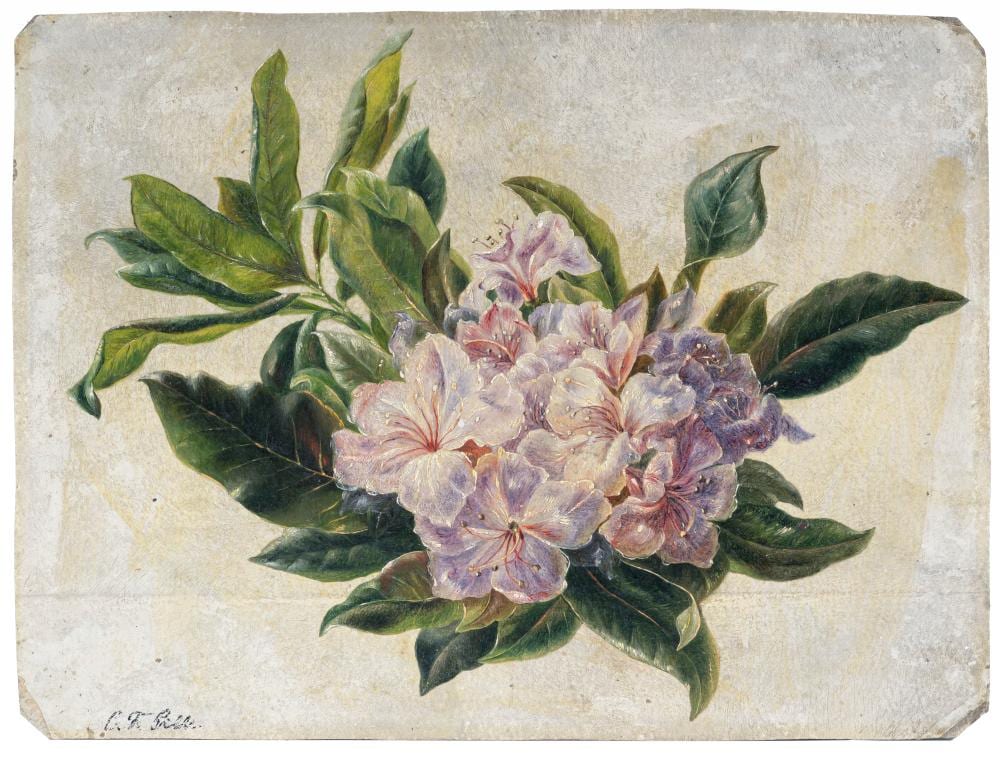 Christian Friedrich Gille comparable auction result: christian friedrich gille rhododendronzweig um 1860