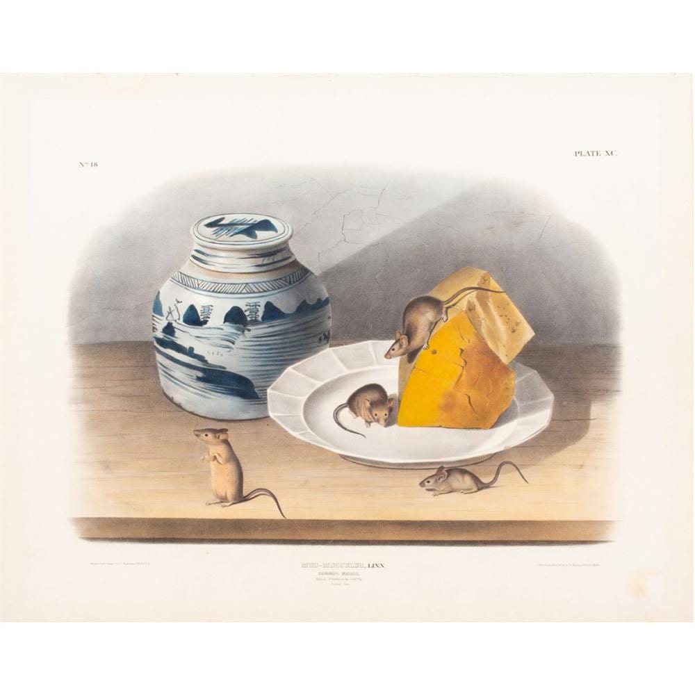 Birds-eye view illustration of several small mice around a ceramic jar and a broken piece of cheese on a plate.
