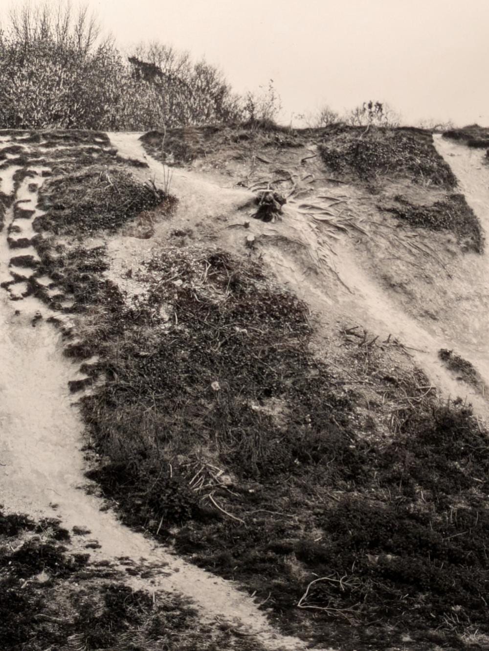 Fay Godwin comparable auction result: fay godwin british 1931 2005 erosion badbury rings