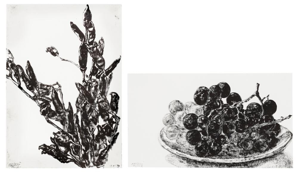Avigdor Arikha comparable auction result: avigdor arikha 1929 2010 chili peppers grapes two works