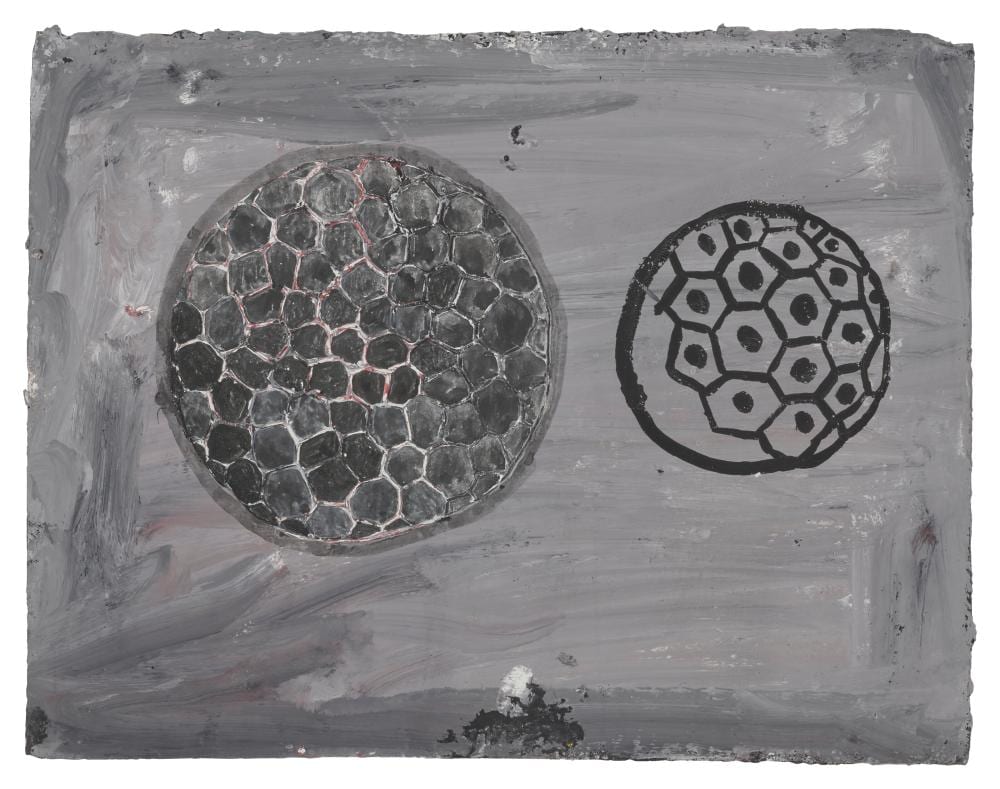 Terry Winters comparable auction result: terry winters b 1949 c gouache on paper11 1 8 x 14 in 28 3 x 36 8