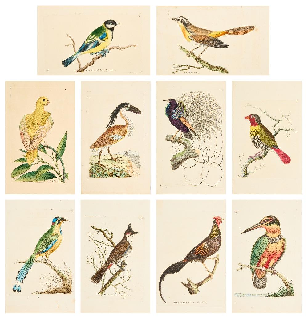 Frederick P. Nodder comparable auction result: frederick polydore nodder and richard polydore nodder british 1751