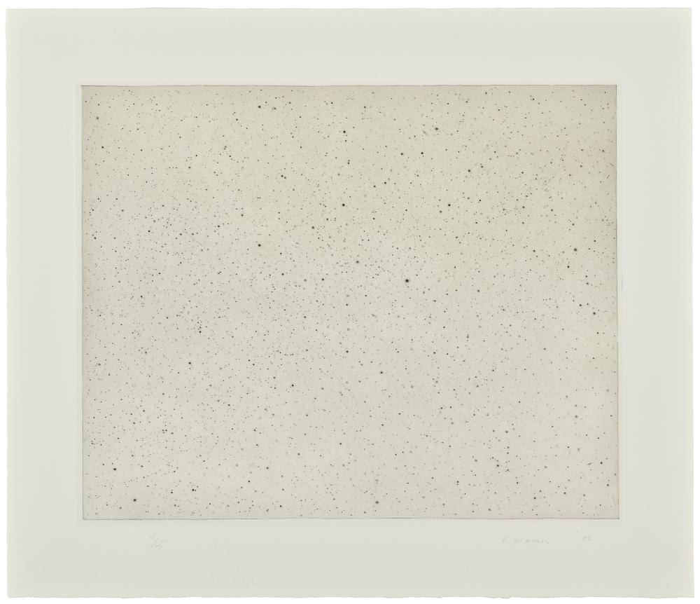 Vija Celmins comparable auction result: vija celmins b 1938 night sky i reversed image 15 7 8 x 19 in 4