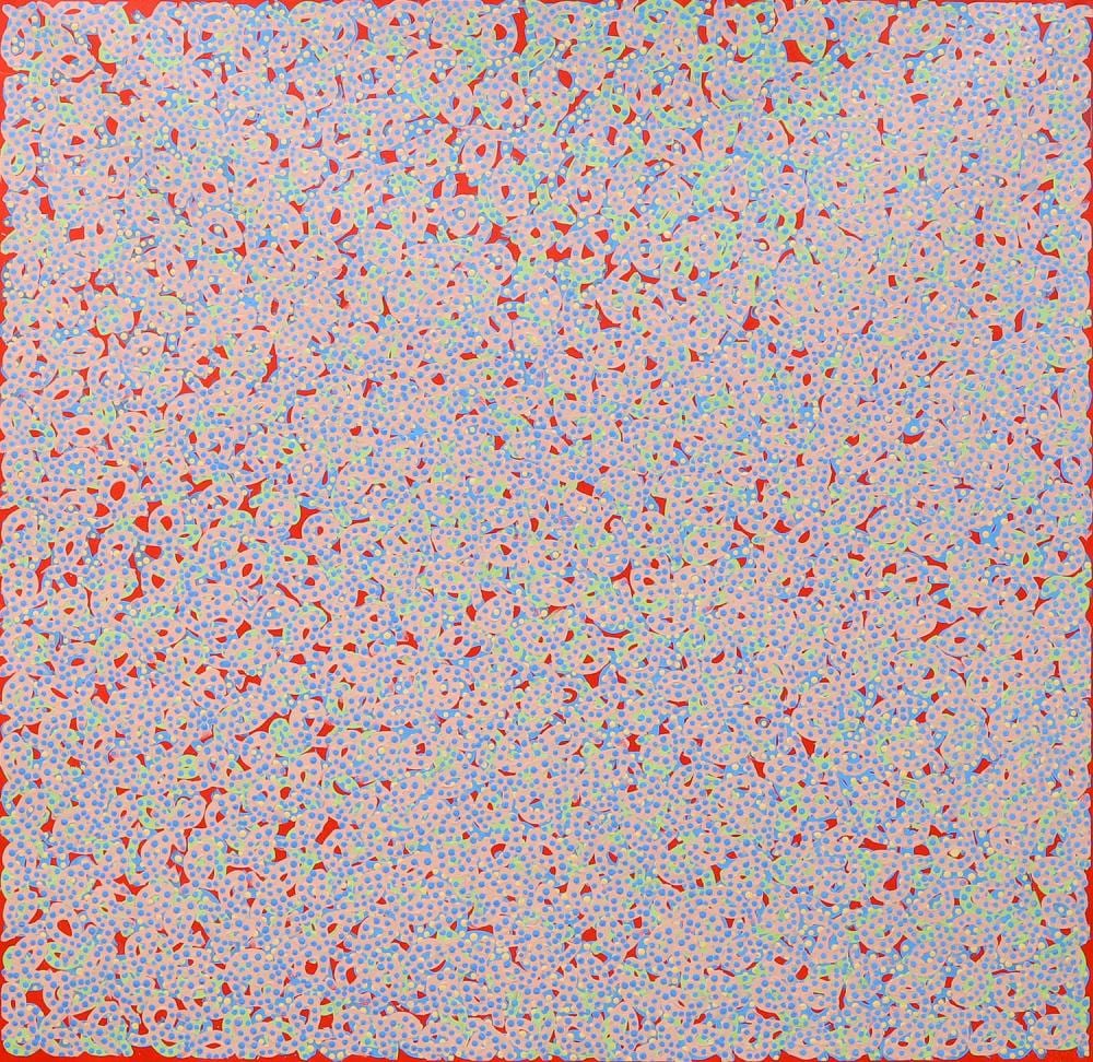 Felicity Robertson Nampitjinpa comparable auction result: felicity robertson nampitjinpa soakage acrylic on canvas 98cm x 110cm