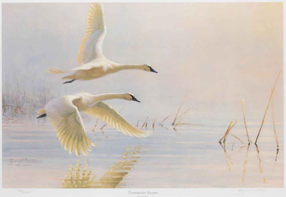 Gary Moss comparable auction result: gary moss trumpeter swans