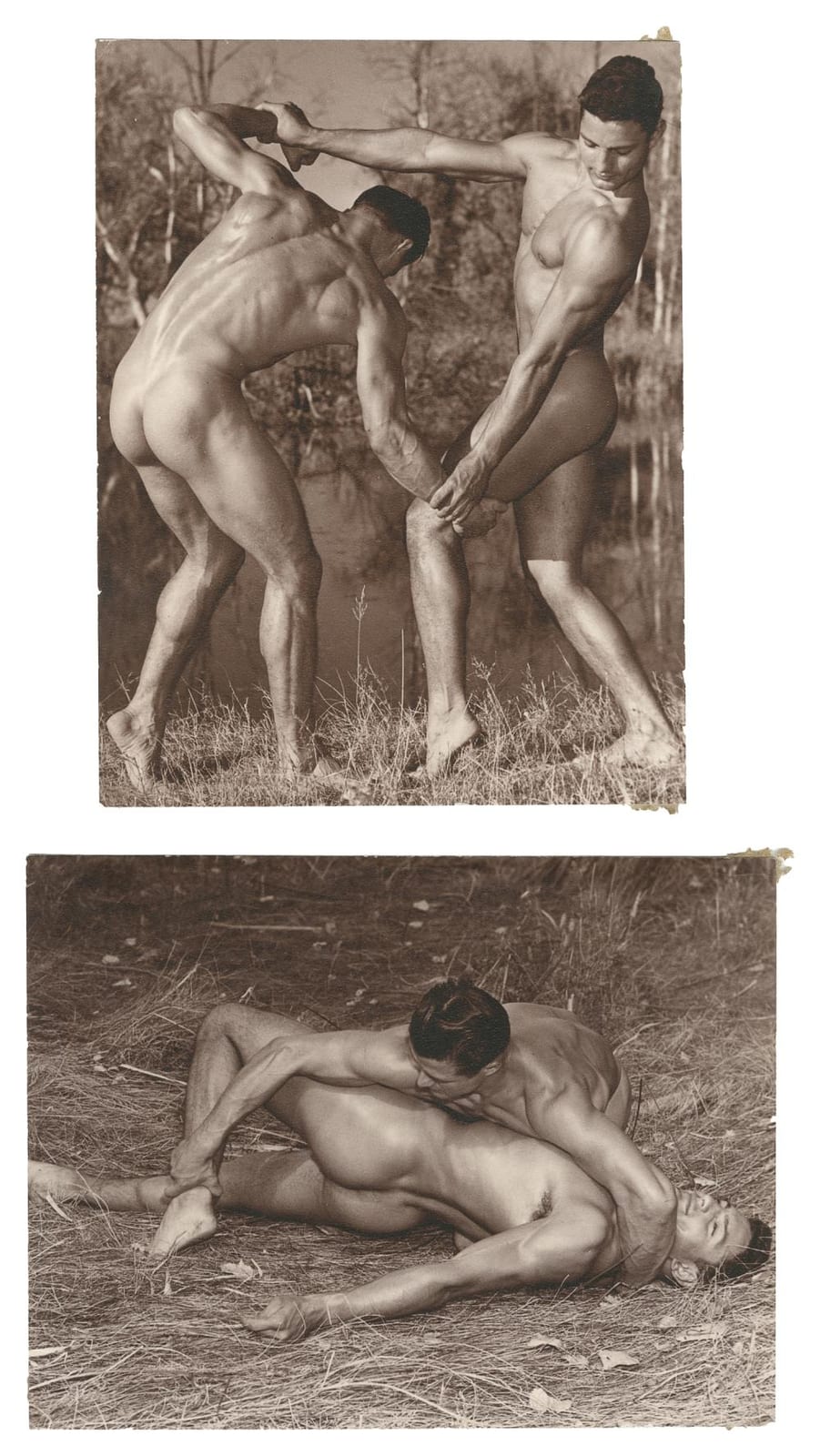 don whitman american 1917 1998 male physique wrestling photographs denver western photography guild late 1950s · Potter & Potter Auctions Inc. · 2026-03-12 Don Whitman comparable auction result: don whitman american 1917 1998 male physique wrestling photographs denver western photography guild late 1950s