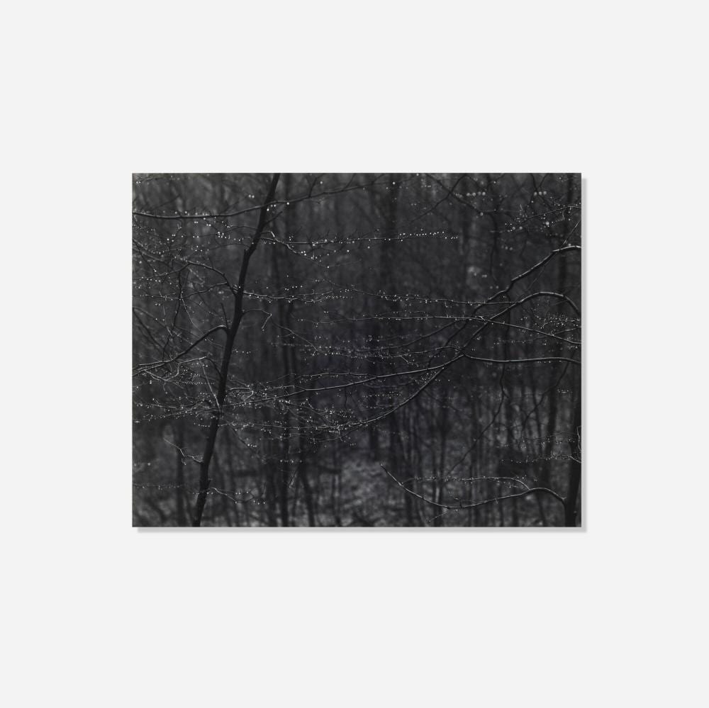 Paul Caponigro comparable auction result: paul caponigro redding ct