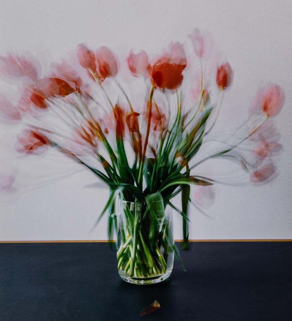 Michael Wesely comparable auction result: michael wesely 1963 munich lives and works in berlin 10 2 20 2 2007 2007 printed 2008