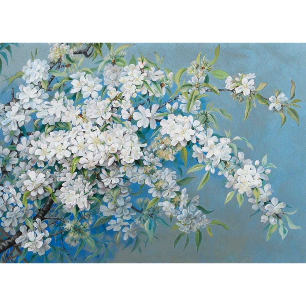 Ellis Rowan comparable auction result: ellis rowan 1848 1922 still life blossom watercolour and gouache on paper 52 x 72 5cm reveal
