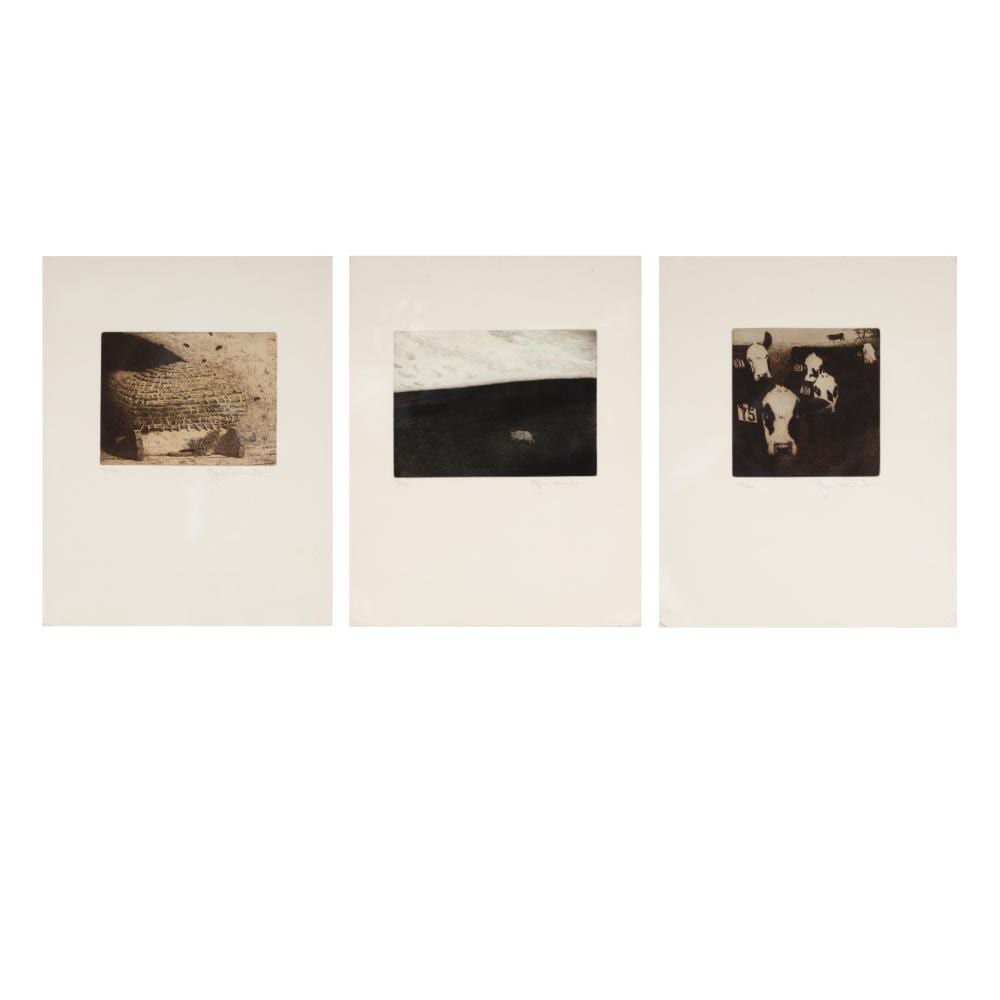 Jamie Wyeth comparable auction result: jamie wyeth the farm portfolio three etchings 1980