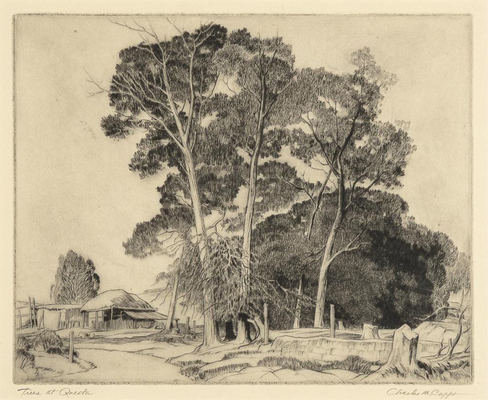 Charles Merrick Capps comparable auction result: charles merrick capps trees at questa 1953