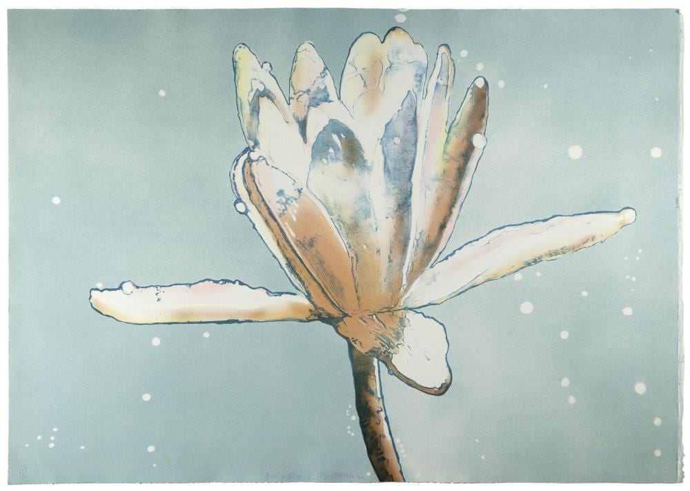 joseph raffael water lily 1983 · Santa Fe Art Auction · 2026-03-10 Joseph Raffael comparable auction result: joseph raffael water lily 1983