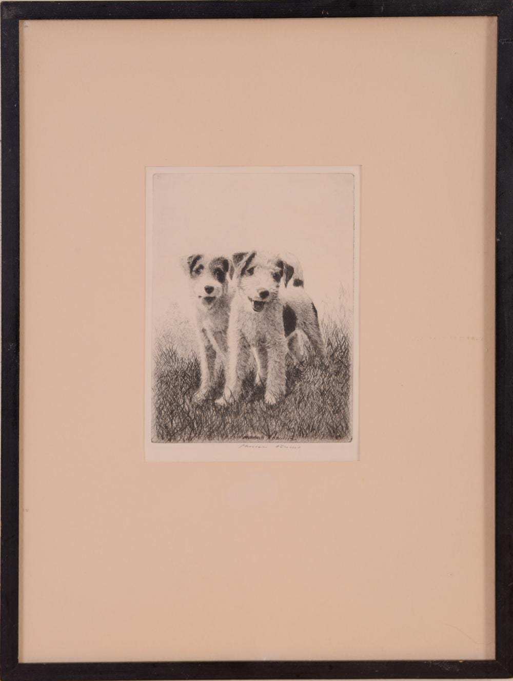 Morgan Dennis comparable auction result: morgan dennis etching of fox terriers