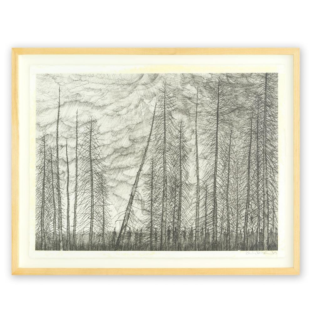 Stanley Donwood comparable auction result: stanley donwood british 1968 wait here we will come for you 2013