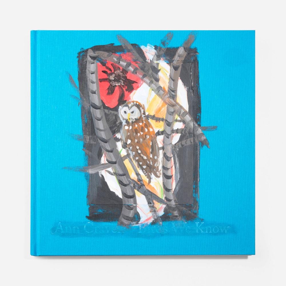 Ann Craven comparable auction result: ann craven birds we know book with original painting