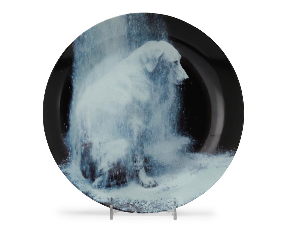 William Wegman comparable auction result: william wegman b 1943 a porcelain plate for swid powell 1995