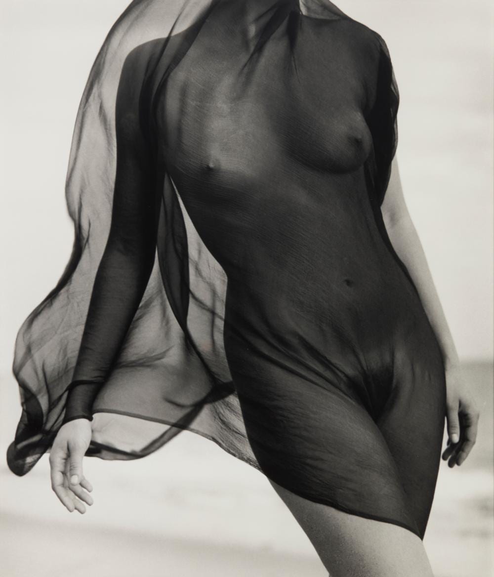 Herb Ritts comparable auction result: herb ritts 1952 2002 female torso with veil paradise cove 1984