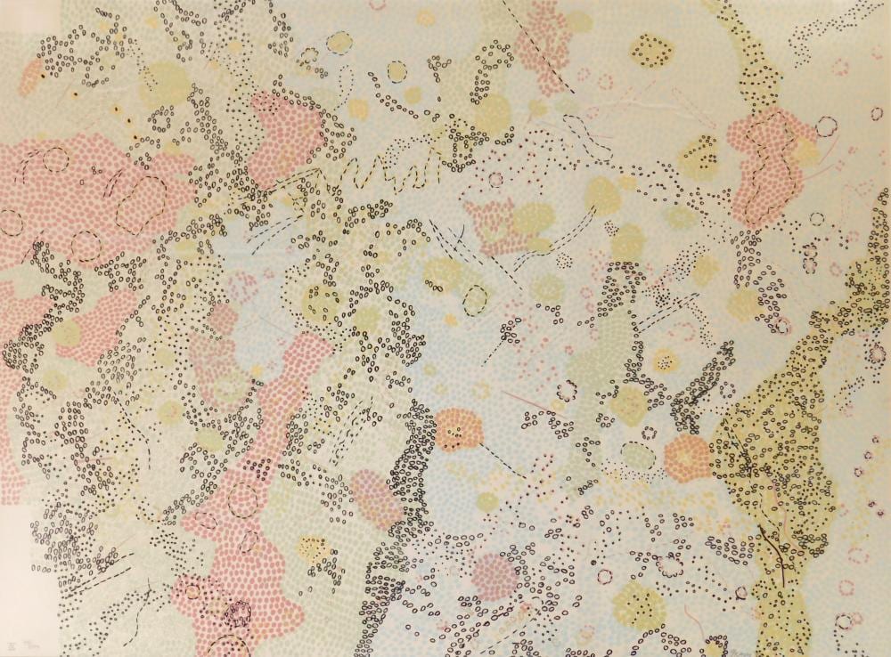 nancy graves american 1940 1995 lithograph · Rachel Davis Fine Arts · 2026-03-21 Nancy Graves comparable auction result: nancy graves american 1940 1995 lithograph