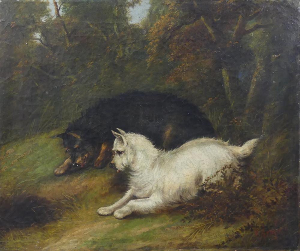 george armfield 1808 1893 two terriers ratting oil on canvas signed lower right 50 x 60cm · Lacy Scott & Knight · 2026-03-21 George Armfield comparable auction result: george armfield 1808 1893 two terriers ratting oil on canvas signed lower right 50 x 60cm