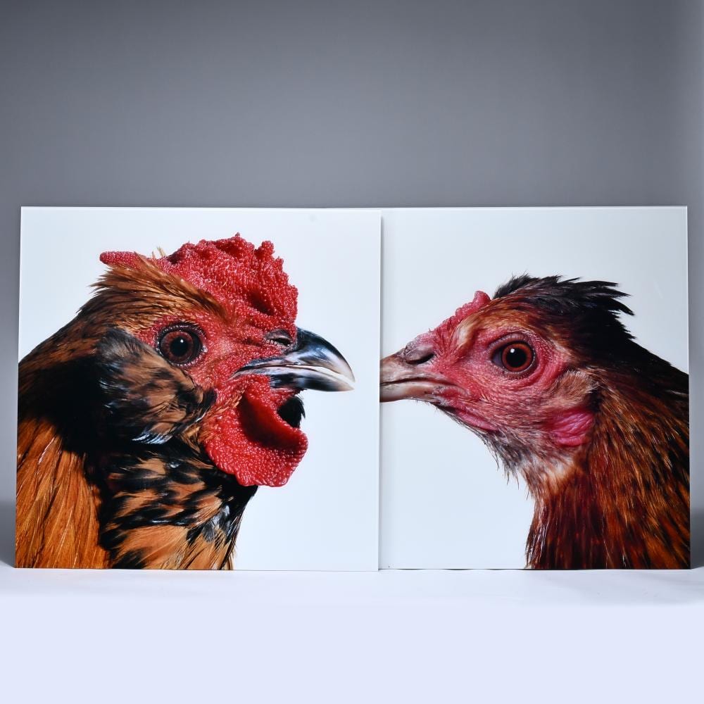 Koen Van Mechelen comparable auction result: koen vanmechelen 1965 diptych lambdaprints mechelse owlbeard m louisiana f 2007 numbered 1 4 and signed verso