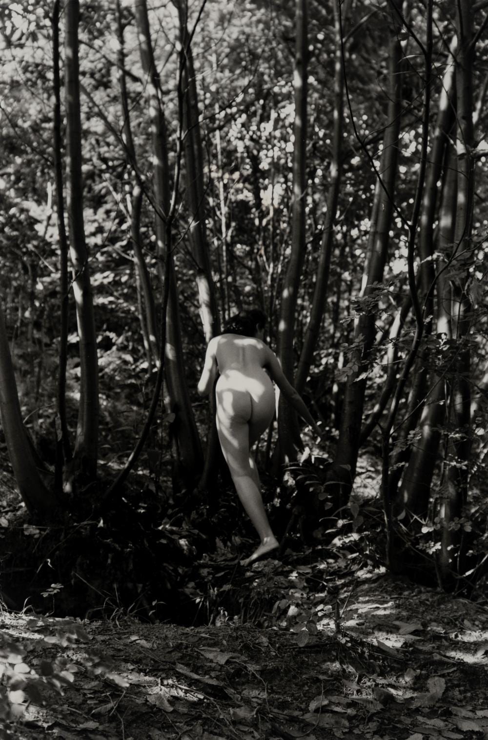 Fulvio Roiter comparable auction result: fulvio roiter 1926 2016 untitled nude 1950