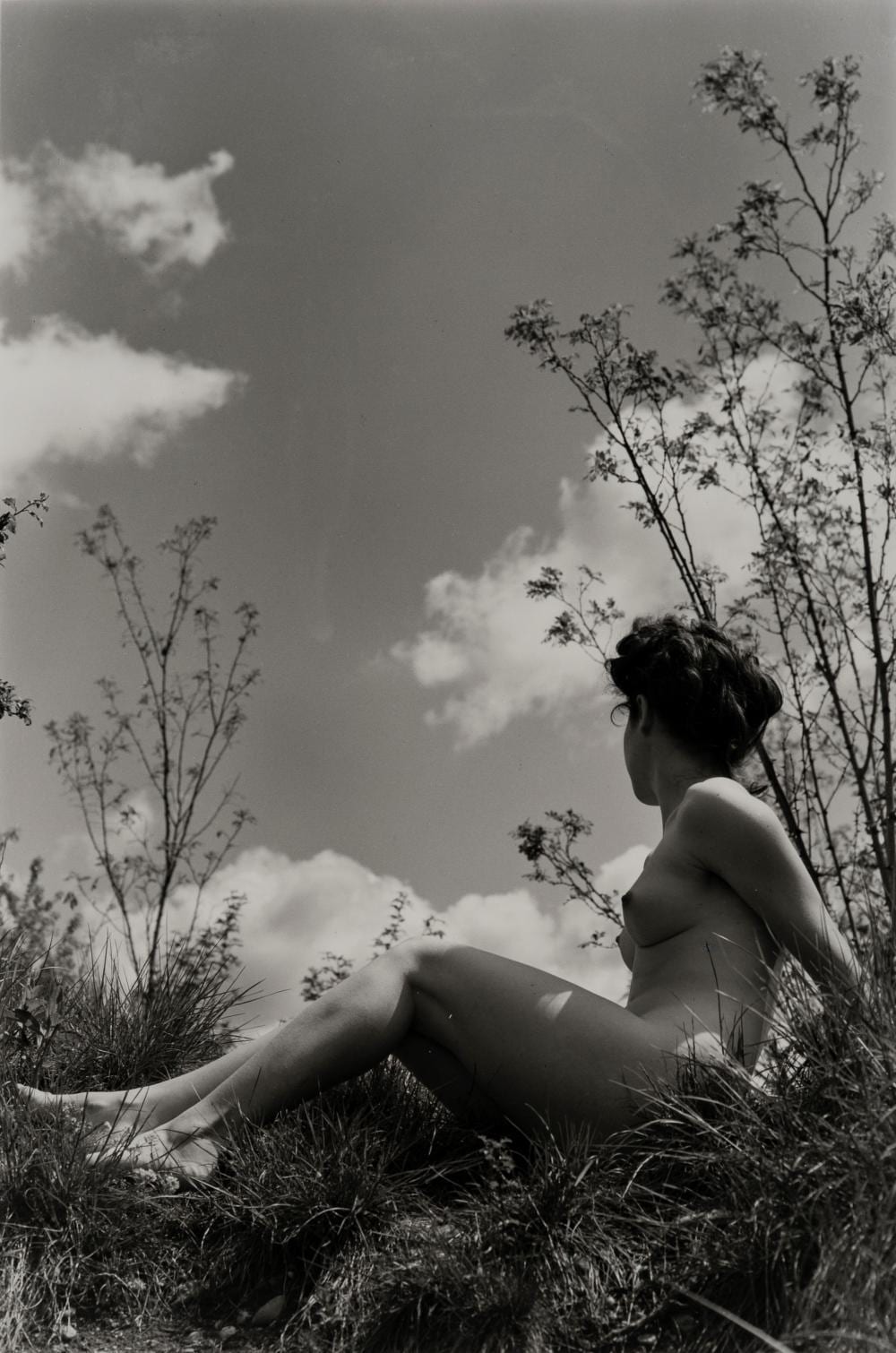 Fulvio Roiter comparable auction result: fulvio roiter 1926 2016 untitled nude 1950