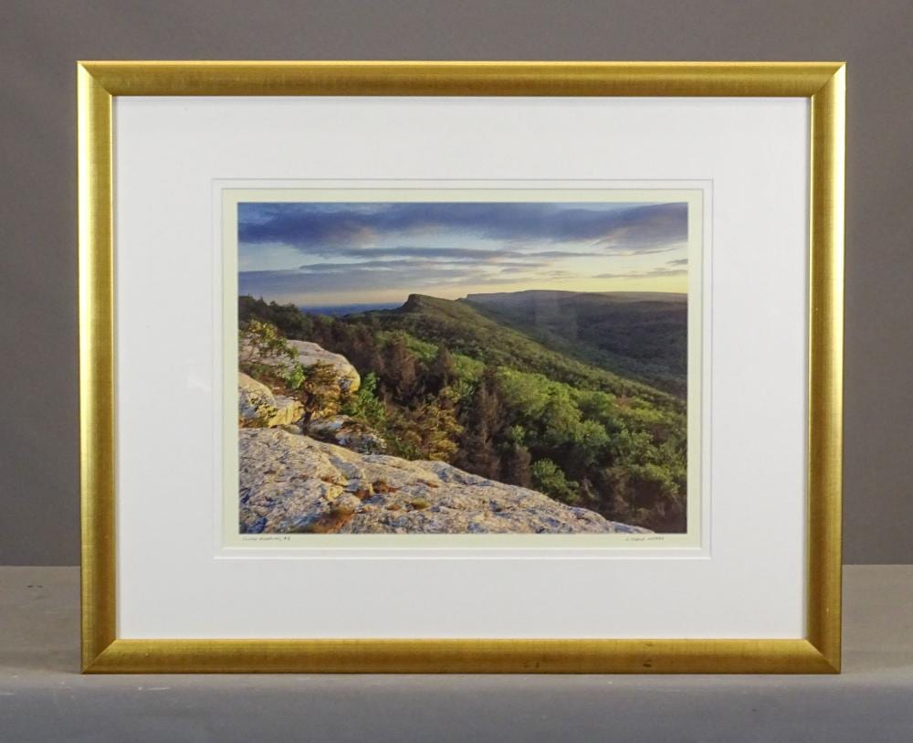 Steve Jordan comparable auction result: steve jordan photograph
