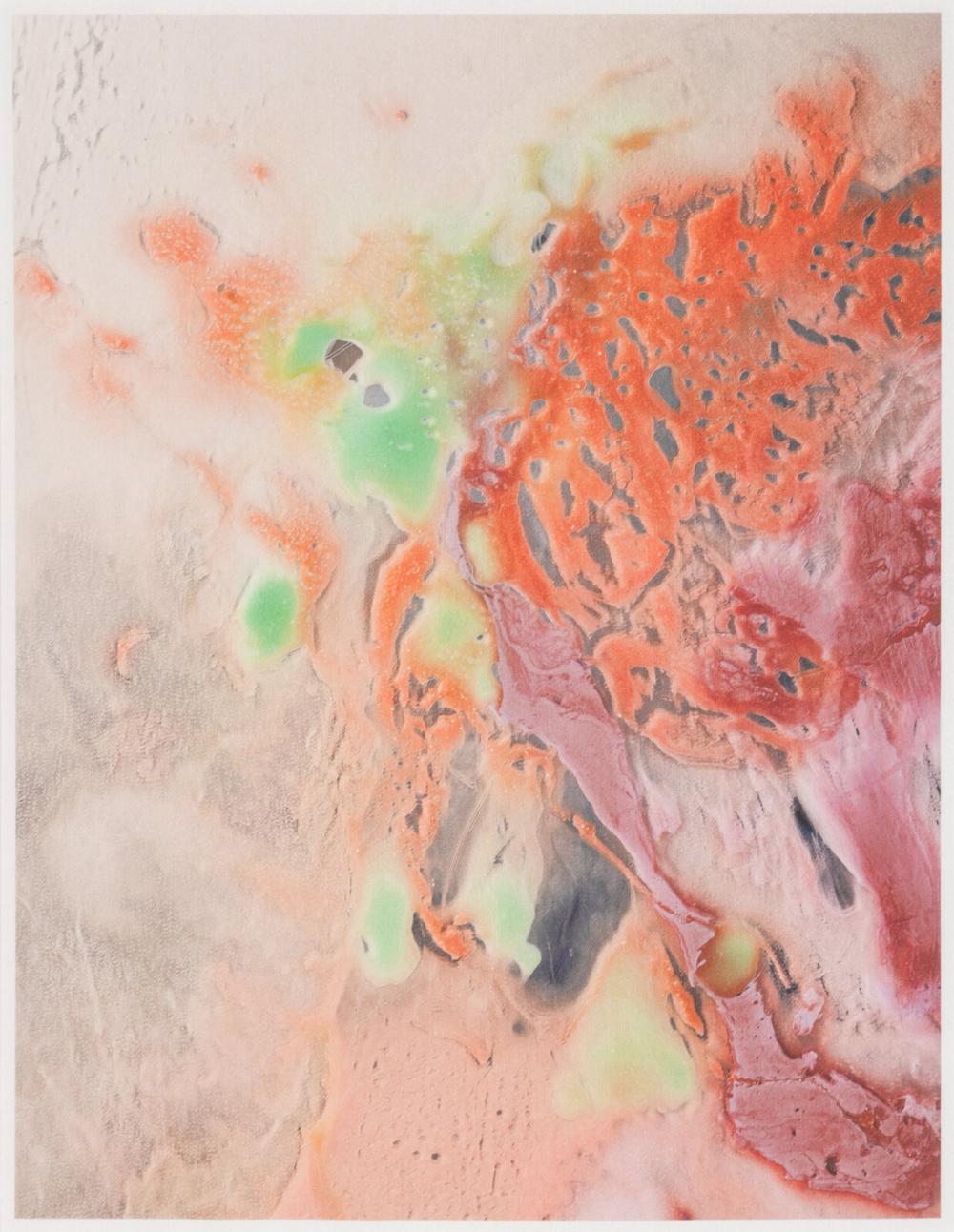 Alex Da Corte comparable auction result: alex da corte american b 1980 sea swallow me 2013