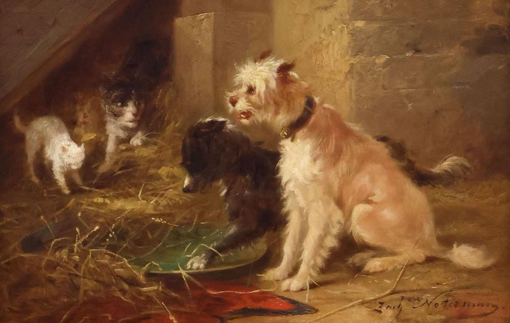 zacharie noterman belgian d 1890 dogs cats painting unexpected guests · Austin Auction Gallery · 2026-03-27 Zacharie Noterman comparable auction result: zacharie noterman belgian d 1890 dogs cats painting unexpected guests