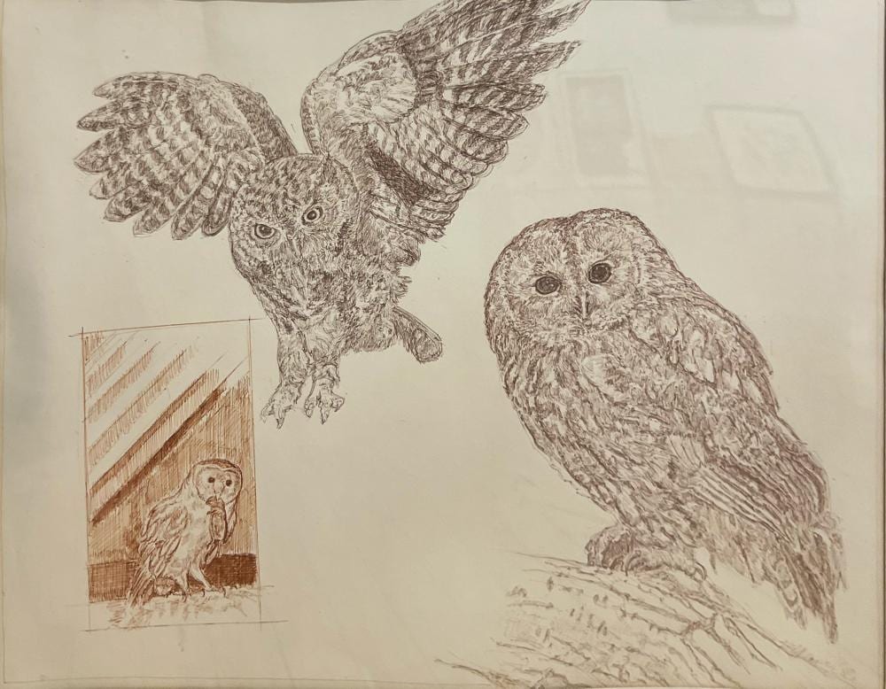Robert Weaver comparable auction result: robert weaver owls