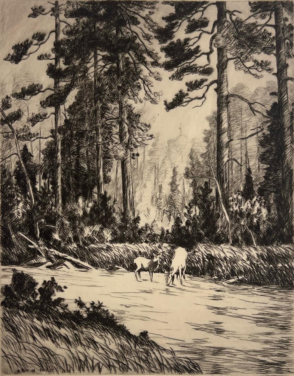 hans kleiber a bit of forest · Kiechel Auction · 2026-04-11 Hans Kleiber comparable auction result: hans kleiber a bit of forest