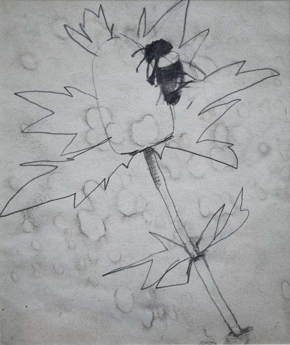 Mary Newcomb comparable auction result: mary newcomb 1922 2008 bee and thistle pencil study 20 x 16 5 cm prov acquired from the