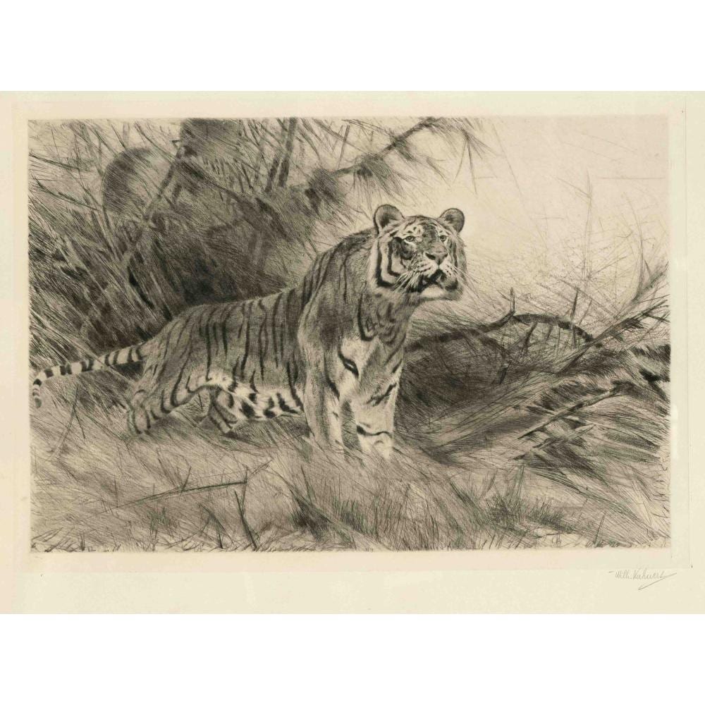 Wilhelm Kuhnert comparable auction result: wilhelm kuhnert 1865 1926 tig