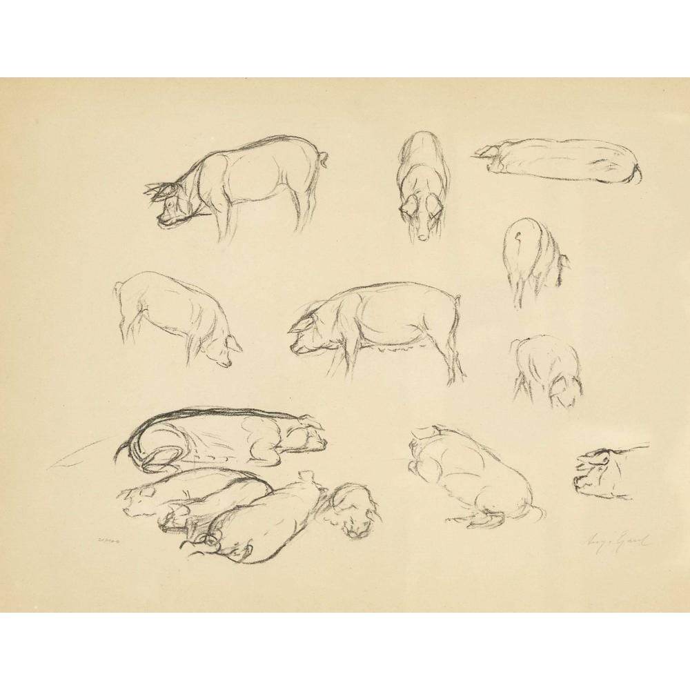 August Gaul comparable auction result: august gaul 1869 1921 pigs 1