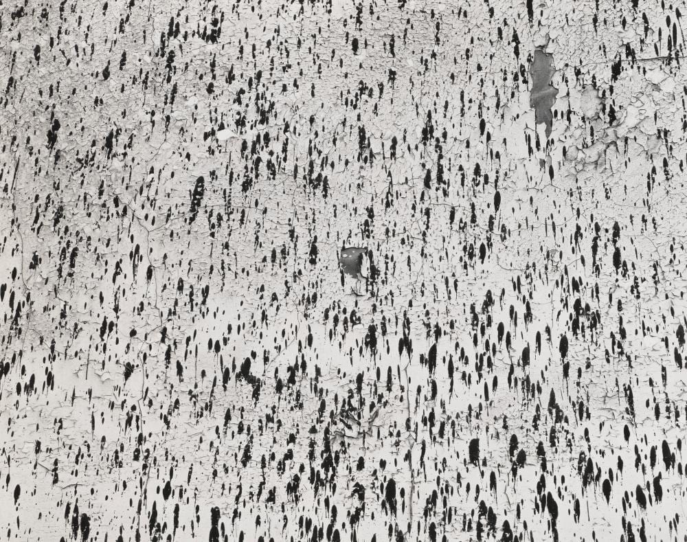 Harry Callahan comparable auction result: harry callahan 1912 1999 wall chicago 1957 signed in ink margin si