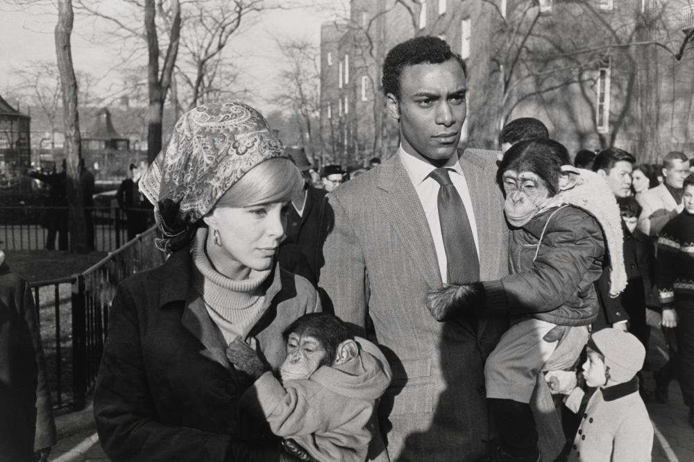 Garry Winogrand comparable auction result: garry winogrand 1928 1984 central park zoo new york city 1967 signed