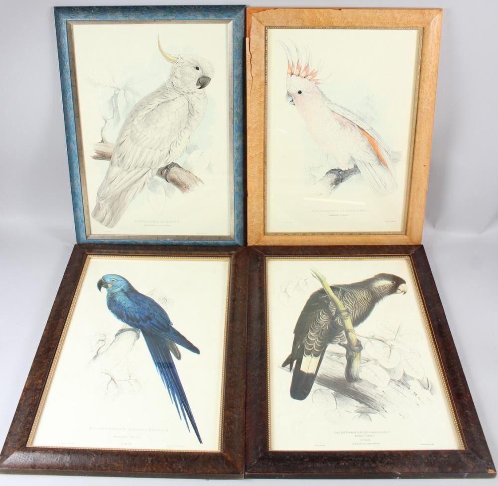 edward lear baudin s cockatoo greater sulphur crested cockatoo leadbeater s cockatoo and hyacinthin · John Nicholson's Fine Art Auctioneers & Valuers · 2026-04-08 Edward Lear comparable auction result: edward lear baudin s cockatoo greater sulphur crested cockatoo leadbeater s cockatoo and hyacinthin